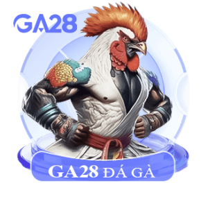 da ga ga28